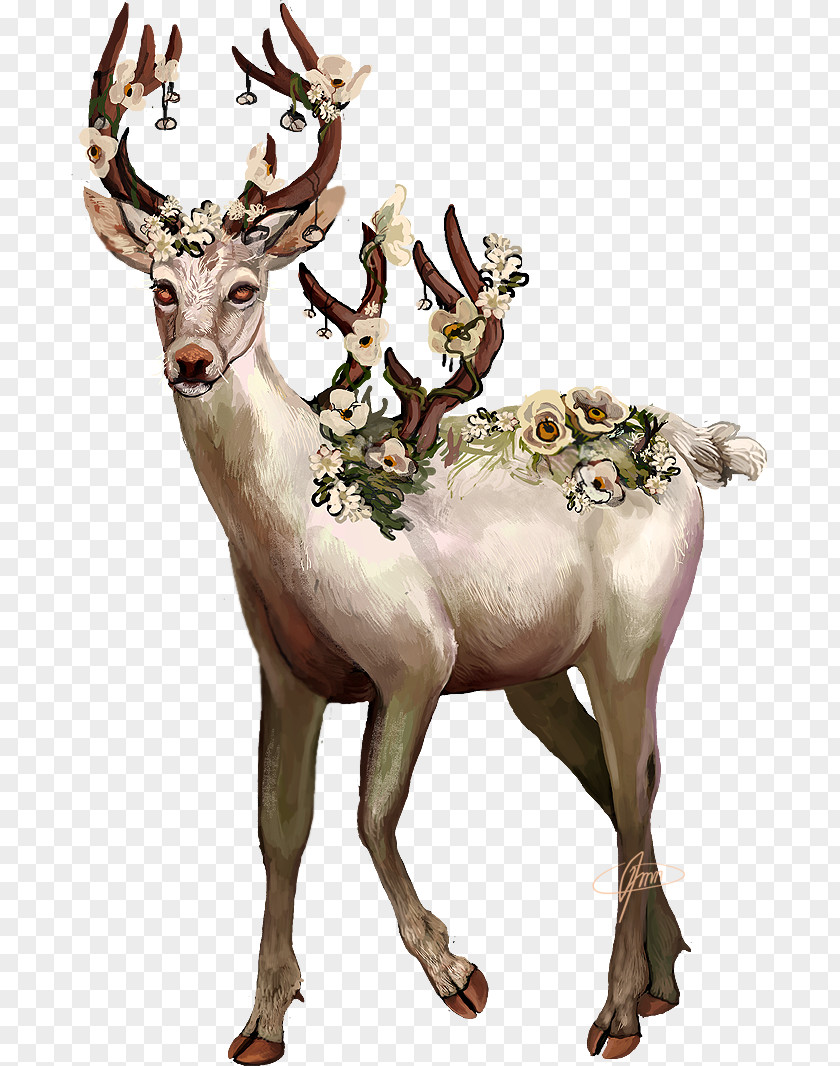 Deer Vector Graphics Reindeer Image Art PNG