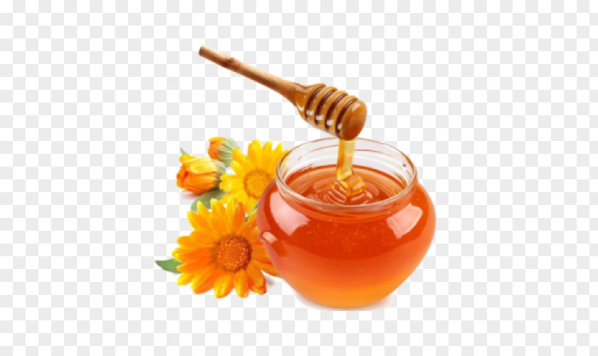 Honey Bee Food PNG