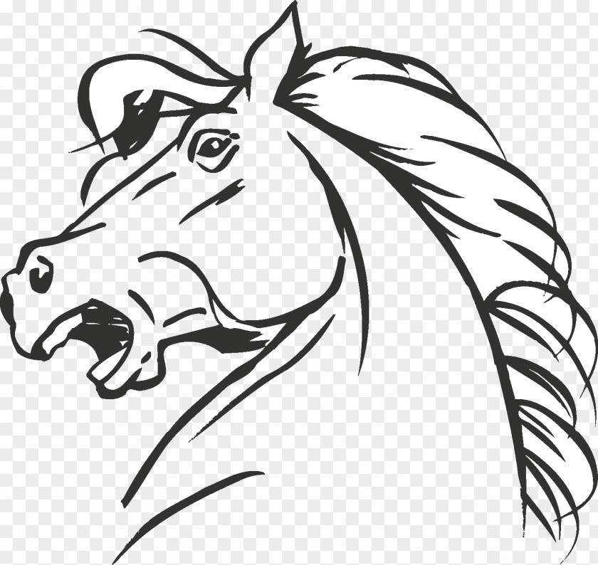 Horse Head Peruvian Paso Standardbred Coloring Book Mask Drawing PNG