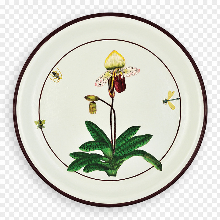 Lady's Slipper Orchids Plate Tray Tableware Pillow PNG