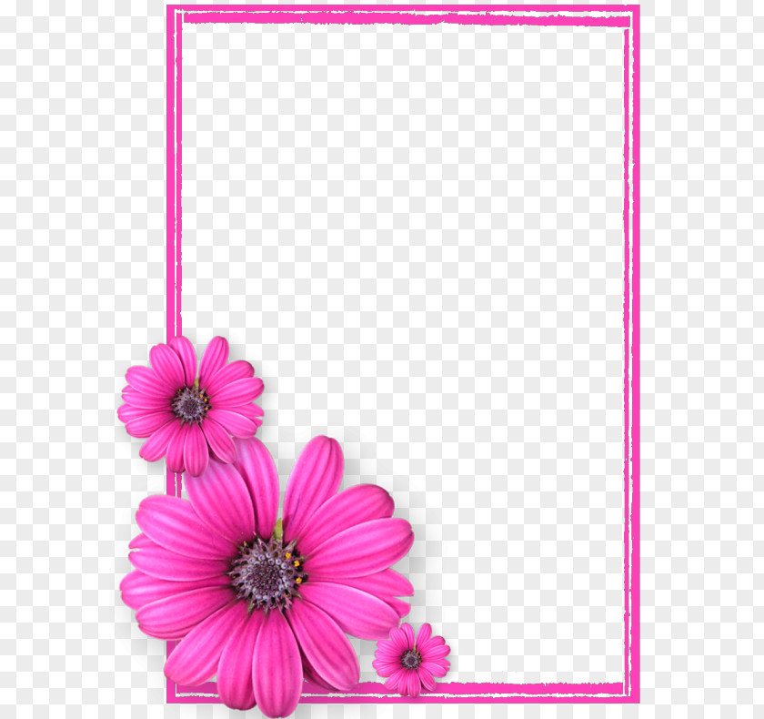 Pink Flower Frame Photos8 Picture Flowers PNG