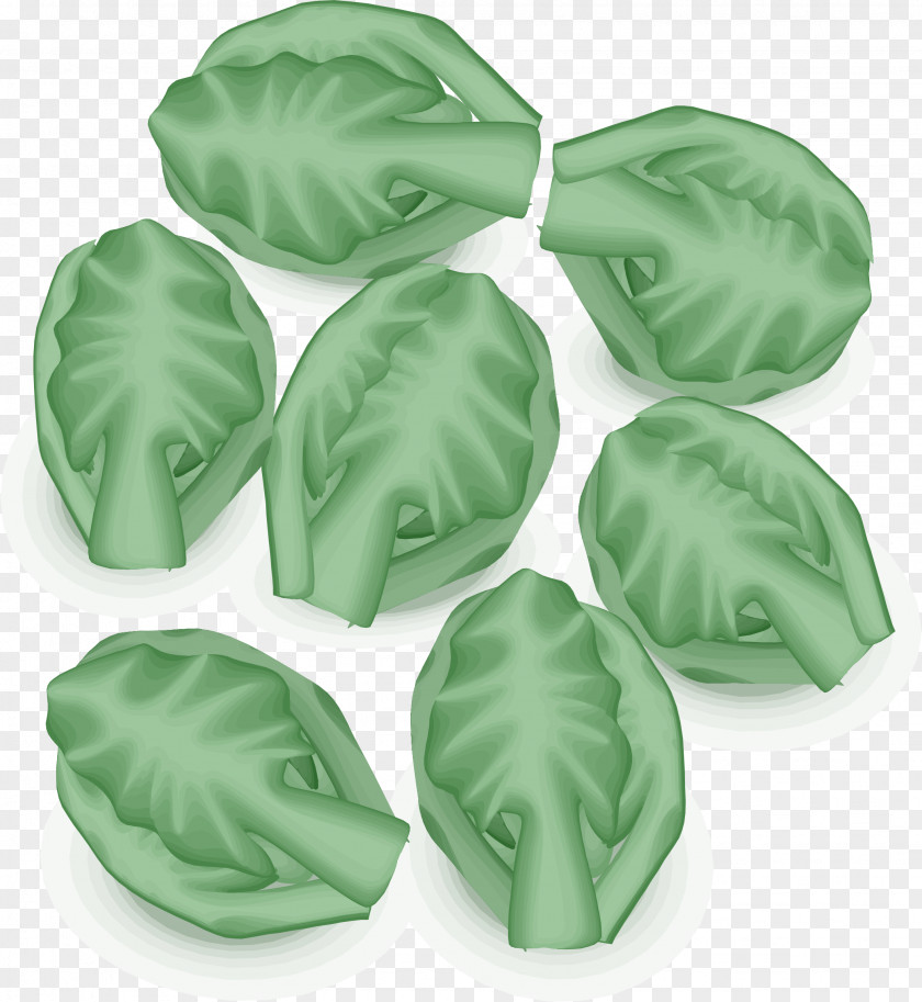 Vegetation Clipart Brussels Sprout Leaf Vegetable Bubble And Squeak Cabbage Sprouting PNG