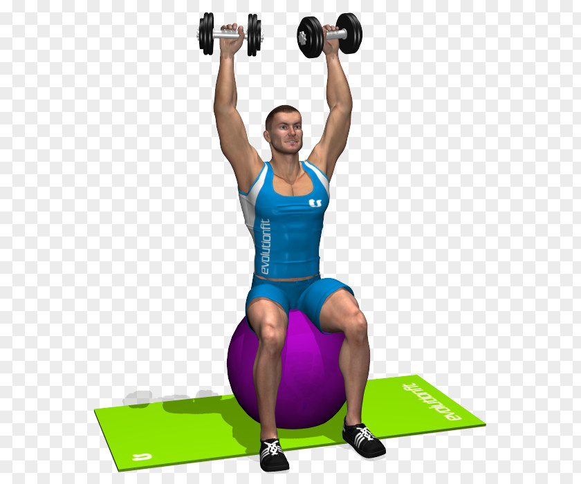 Dumbbell Weight Training Shoulder Exercise Balls Overhead Press PNG
