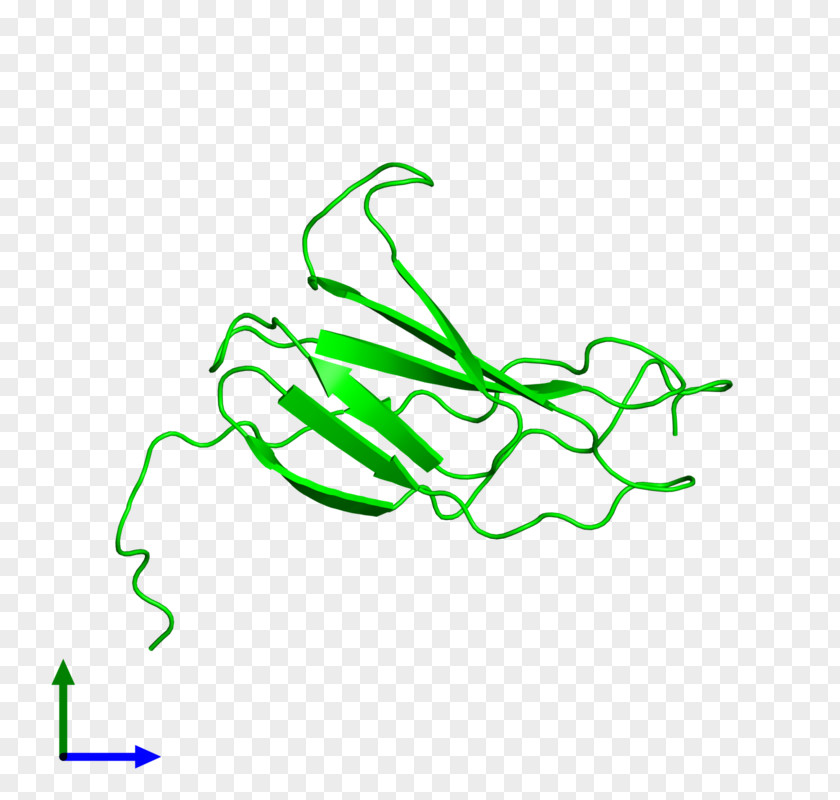 Leaf Line Art Clip PNG