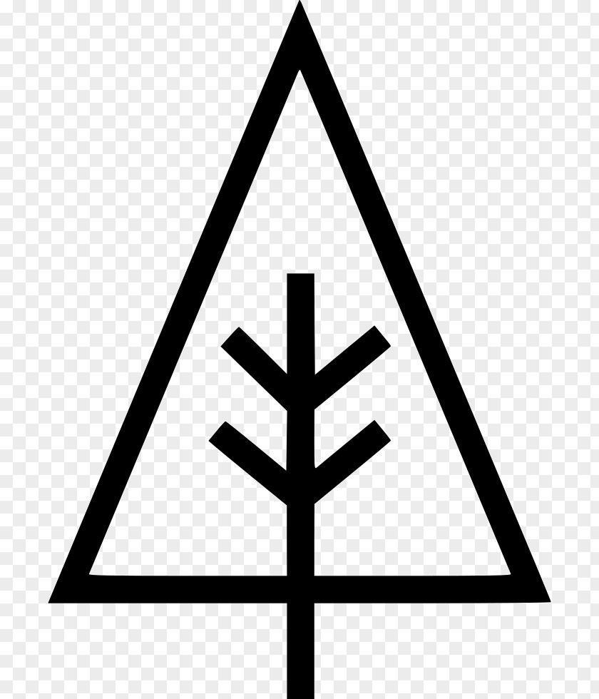 Evolution Tree Clip Art Iconfinder PNG