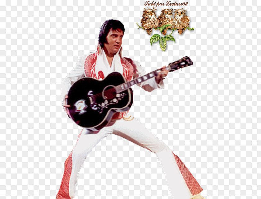 Guitar Slide Elvis, The Pelvis ! Sitar PNG