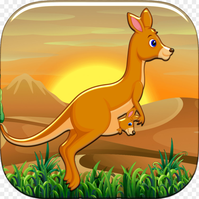 Kangaroo Drawing Landscape Desert PNG