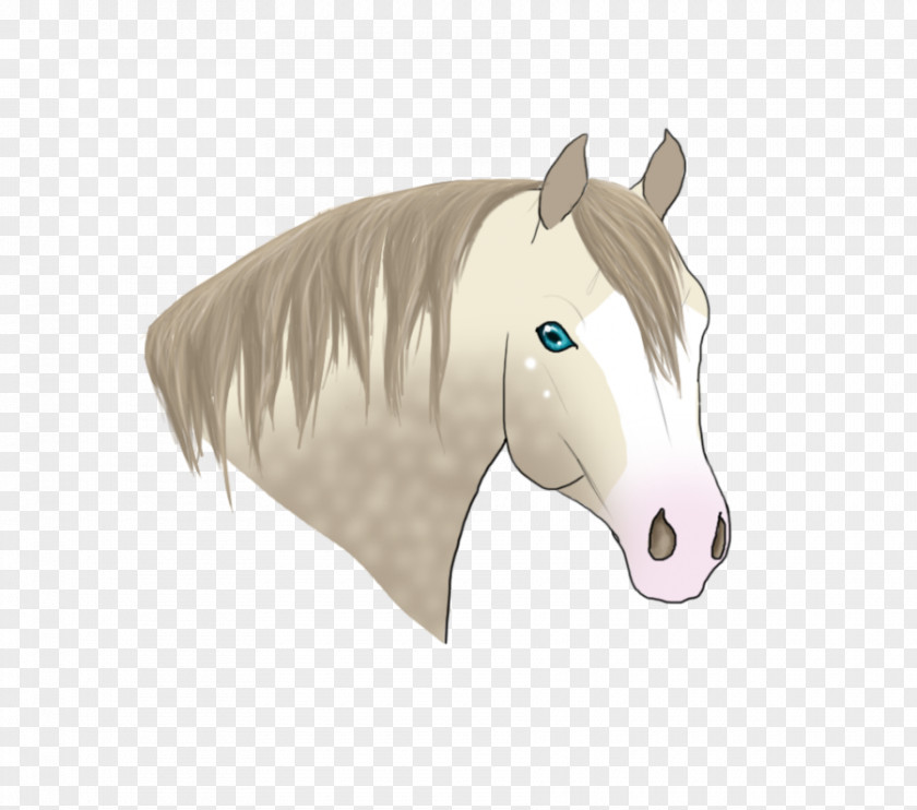 Mustang Pony Stallion Halter Rein PNG