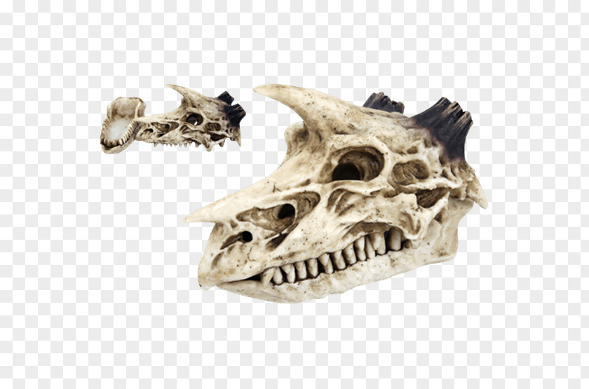 Skull Censer Skeleton Dragon Incense PNG
