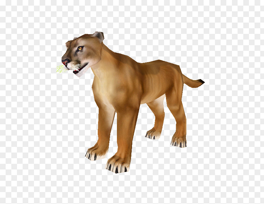 Cat Cougar Big Terrestrial Animal PNG