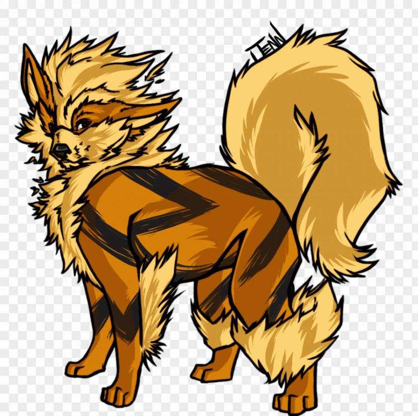 Dog Red Fox Cat Canidae Snout PNG