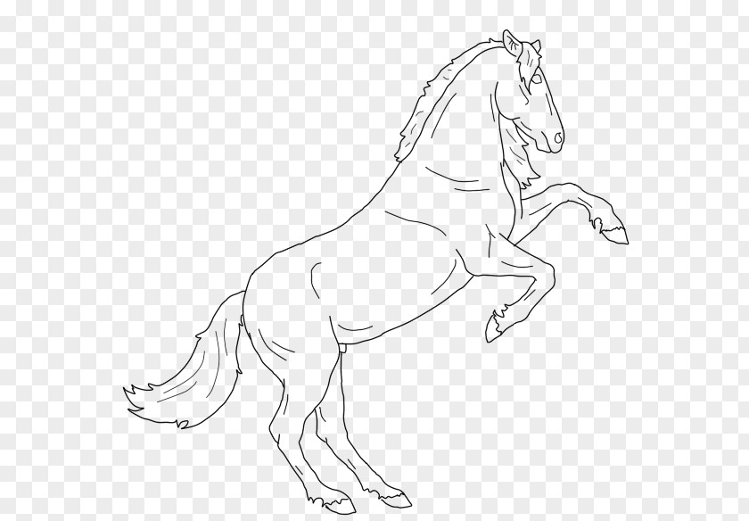 Mustang Mane Stallion Pony Colt PNG