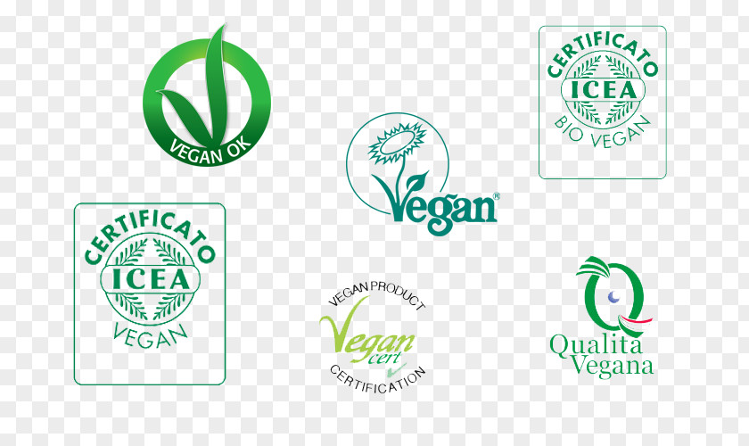 Non Veg Foods Infant Logo Brand Child Trademark PNG