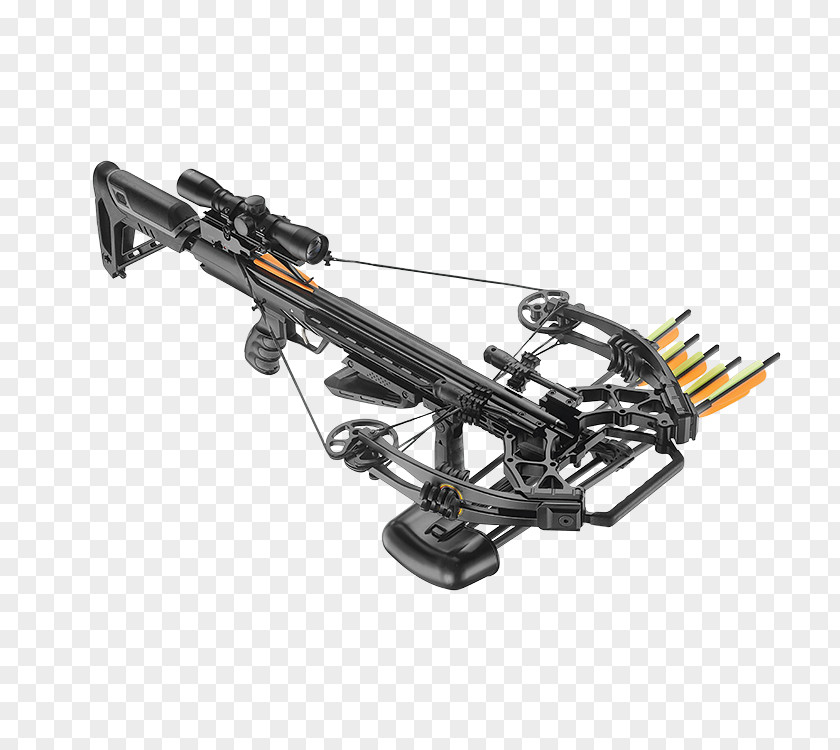 Bow Crossbow Target Archery Compound Bows PNG