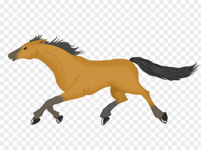 Cartoon Horse Gallop Mustang Foal Stallion Colt Pony PNG