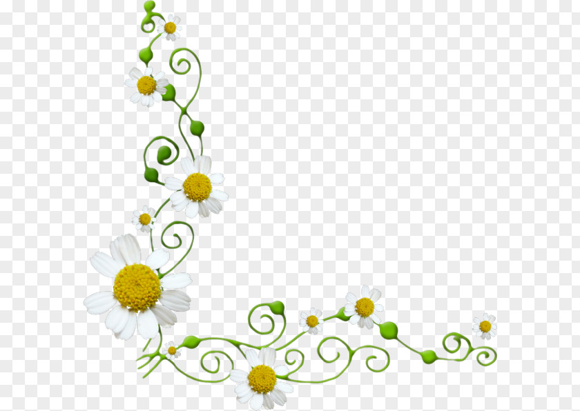 Chrysanthemum Vines Flower Euclidean Vector Clip Art PNG
