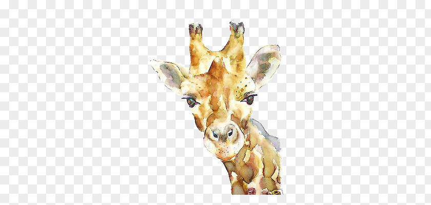 Giraffe PNG clipart PNG