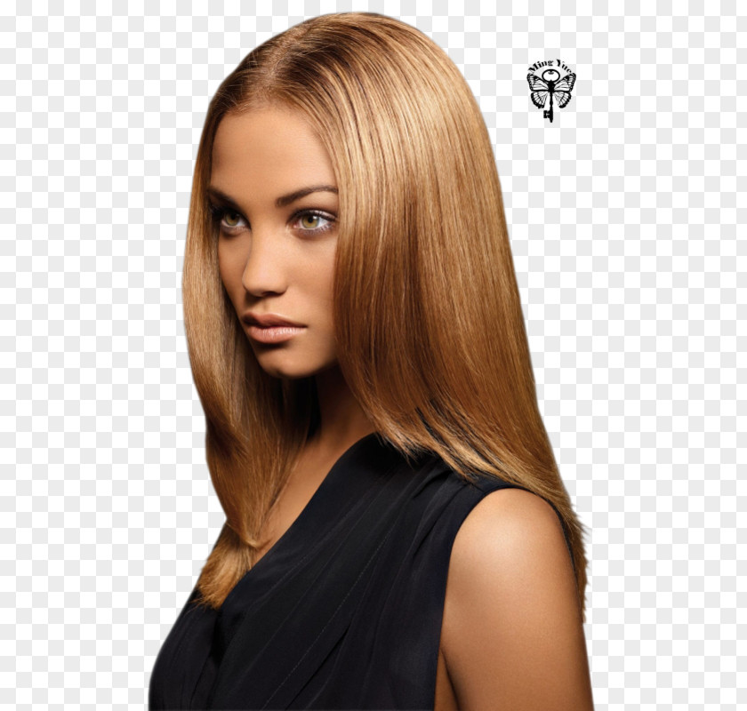 Hair Blond Human Color Highlighting Brown Coloring PNG