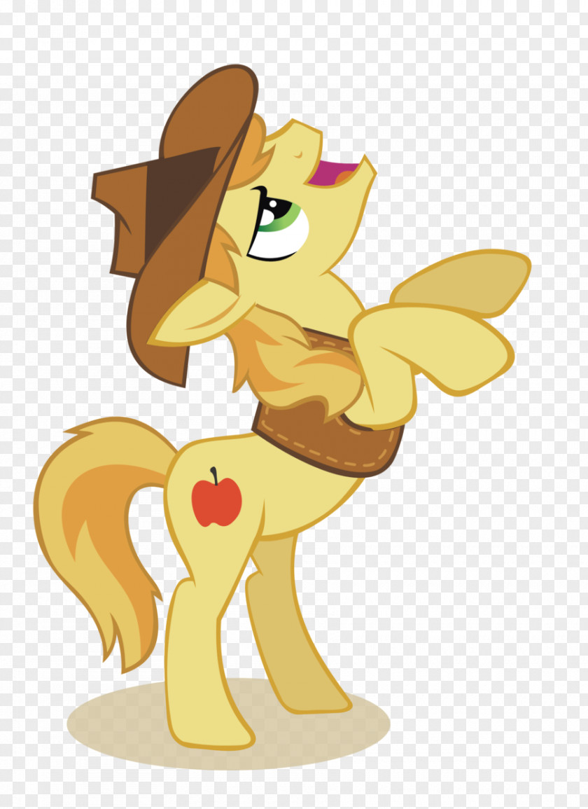 Horse Pony Big McIntosh Rarity Fluttershy PNG