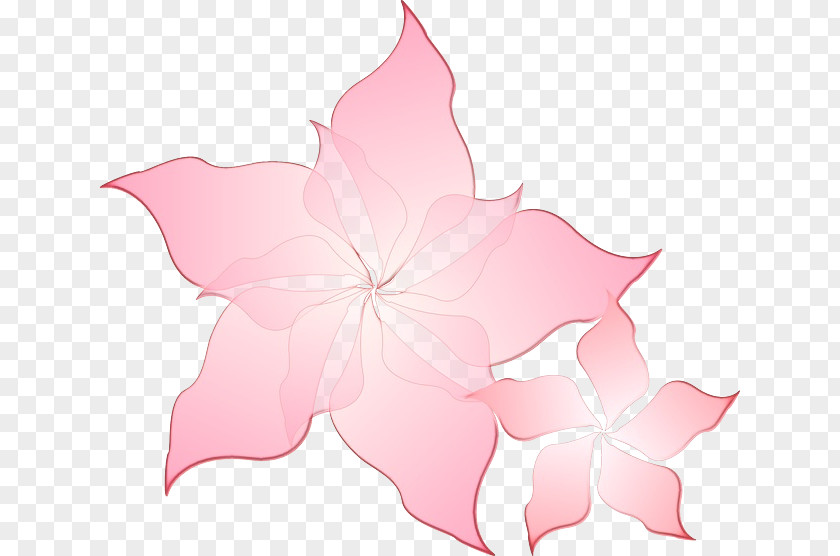 Perennial Plant Flowering Pink Flower Cartoon PNG
