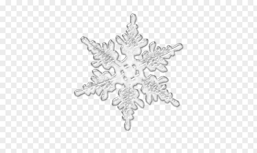 Snowflake Christmas Ornament White Symmetry Pattern PNG