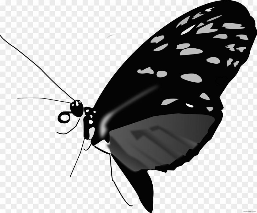 Butterfly Monarch Clip Art Image PNG