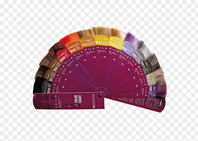 Color Chart Human Hair Parrucchiere Facciamoci Belli PNG