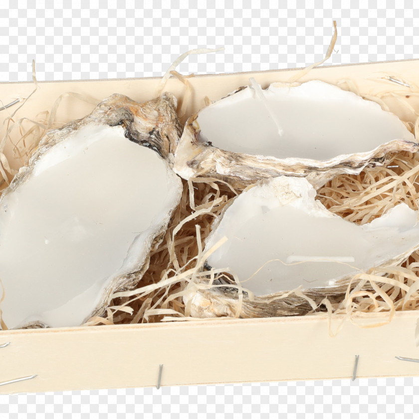 Drift Wood Egg PNG