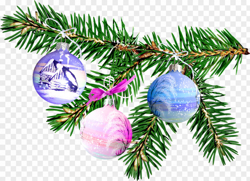 Spruce Old New Year Blog Holiday Christmas Ornament PNG