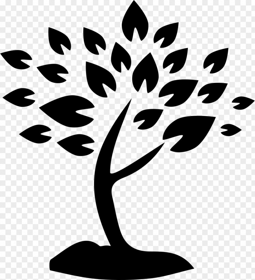 Tree Hagstrom & Sons Services Clip Art Branch PNG