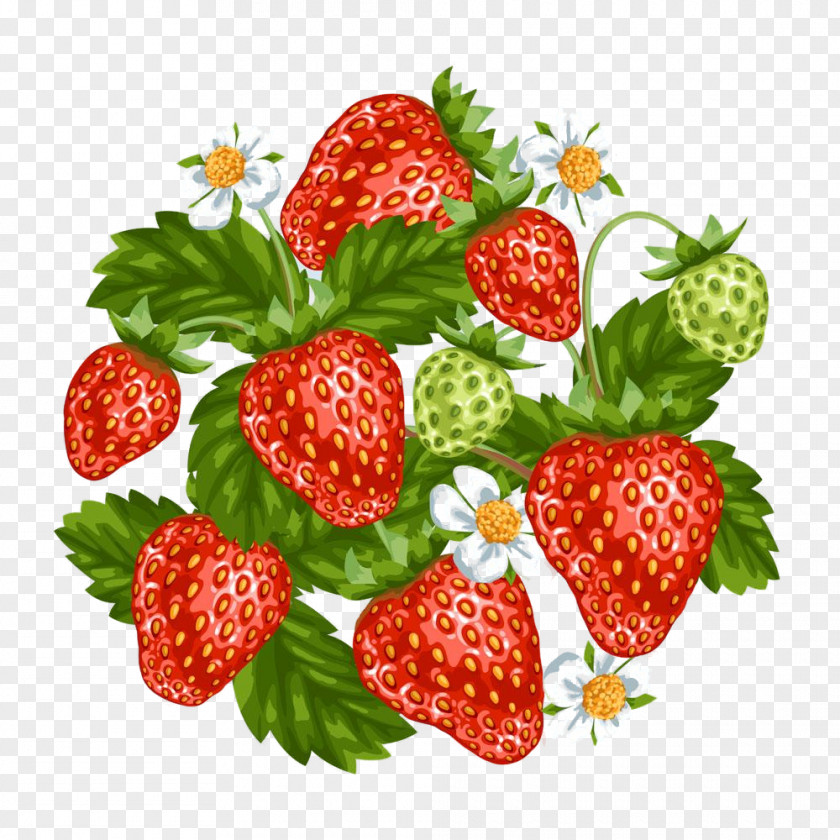 West Indian Raspberry Rubus Strawberry PNG