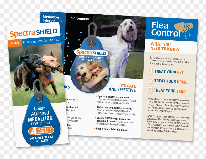 Education Brochure Dog Breed Advertising Brand Product PNG