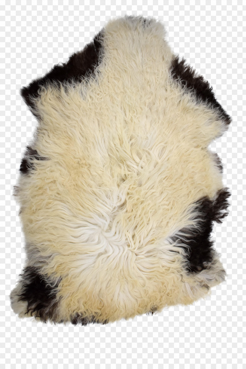 Fur Snout PNG