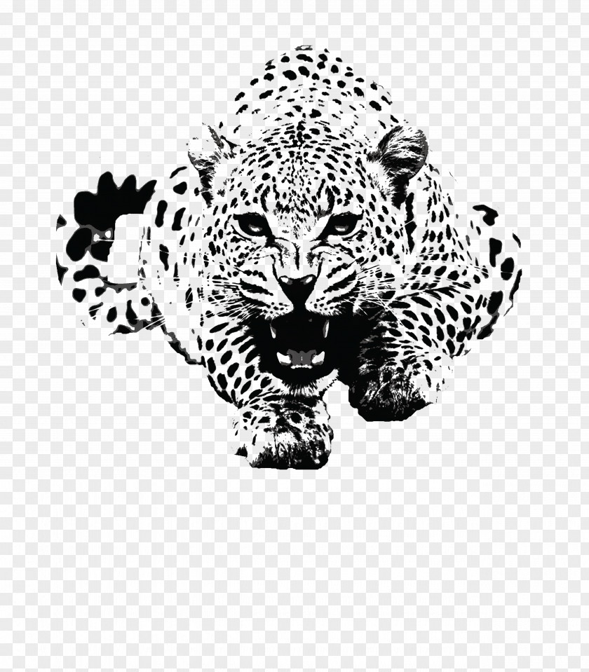 Leopard T-shirt Tiger Jaguar Top PNG