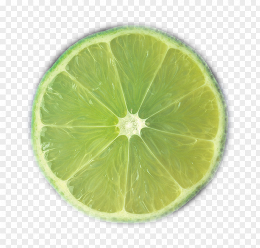Lime Key Lemonade Lemon-lime Drink PNG