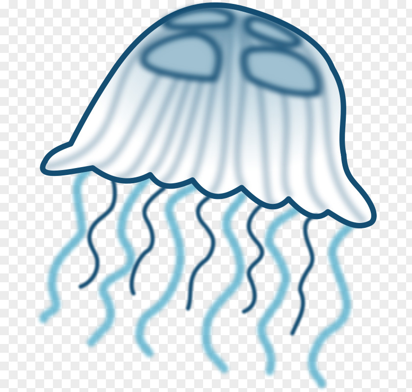 Seashore Clipart Jellyfish Free Content Clip Art PNG