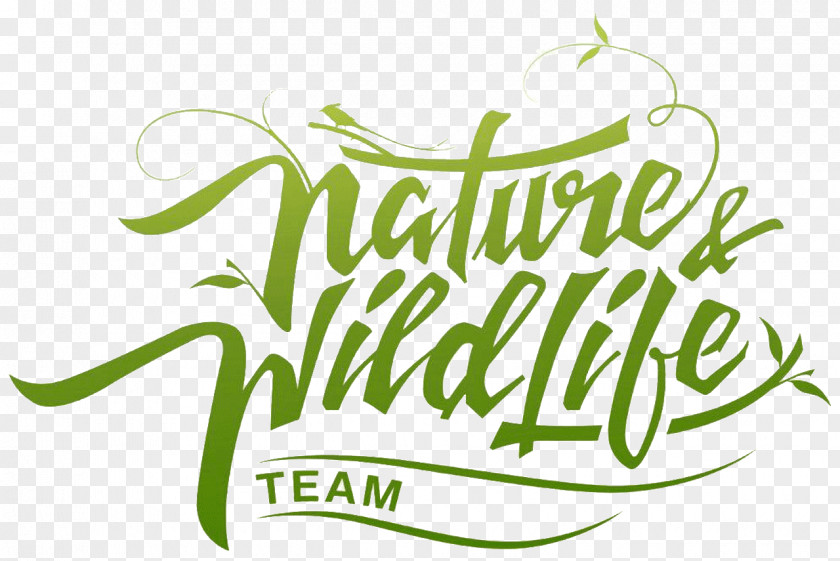 Avondae Technologies Pvt Ltd Nature Wildlife PNG