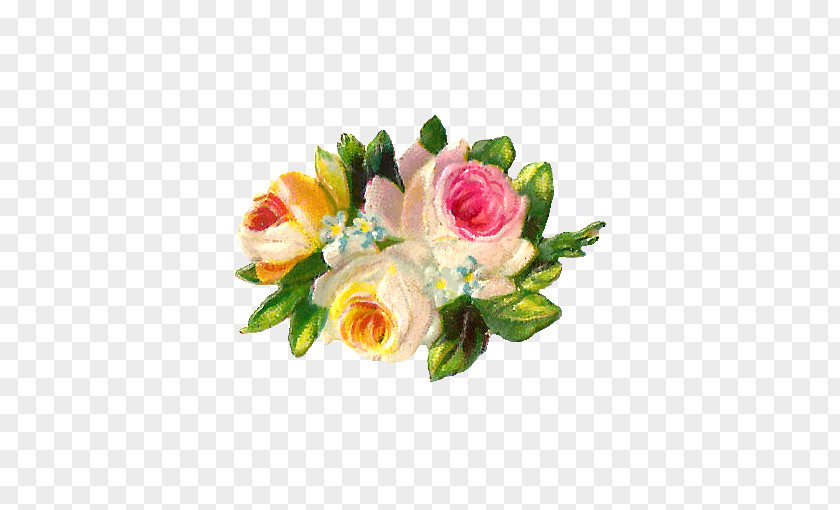 Blush Floral Flower Bouquet Cut Flowers Design Garden Roses PNG