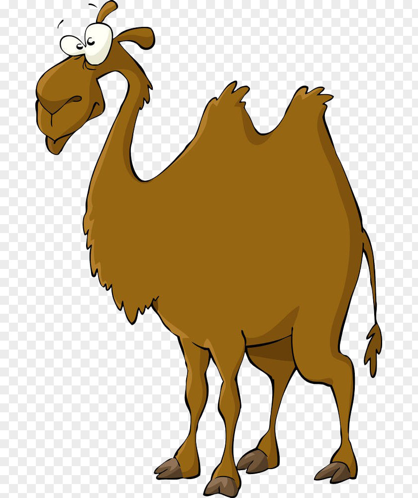 Cartoon Hand Painted Camel Bactrian Royalty-free Illustration PNG