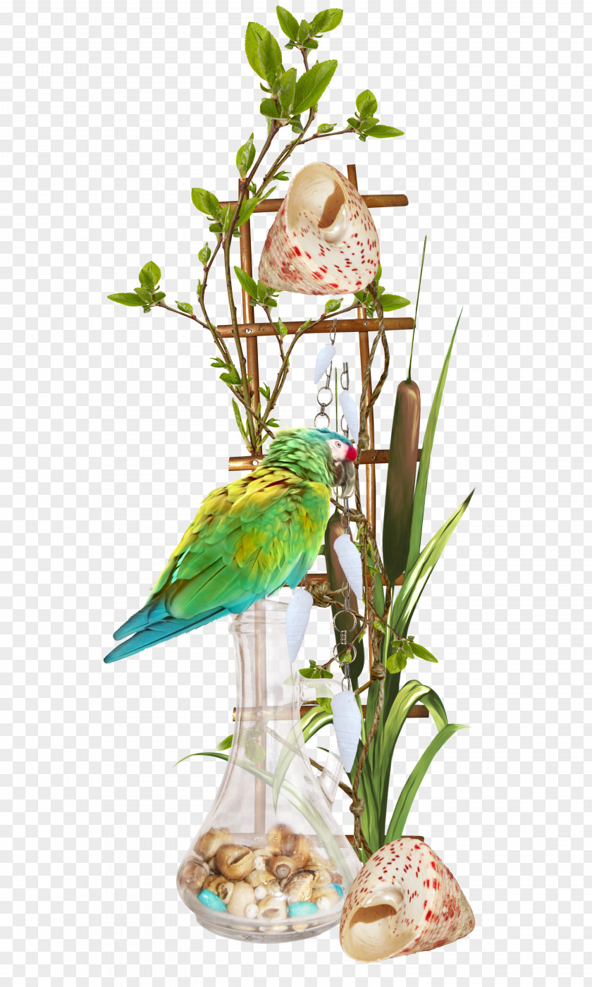 Conch Bird Ladder Floral Design U6d77u6d0b PNG