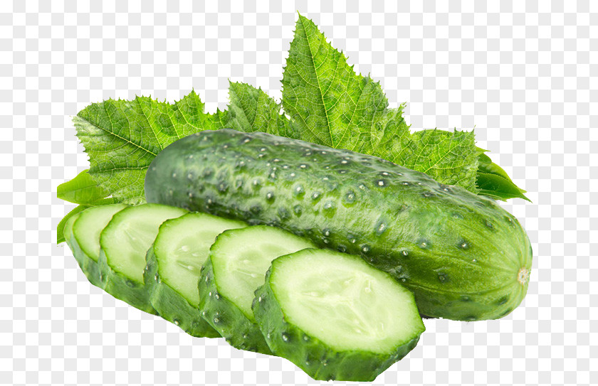 Cucumber Pattern Vegetable Muskmelon Fruit PNG