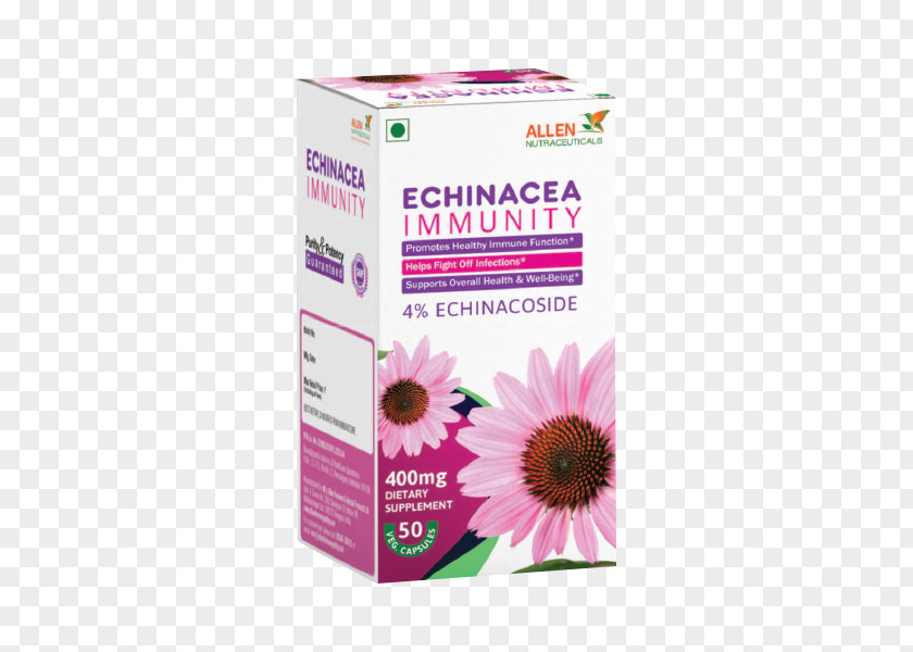Immunity Immune System Infection Echinacea Purpurea Disease PNG