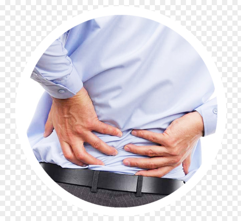 Low Back Pain Physical Therapy Human Chiropractic PNG