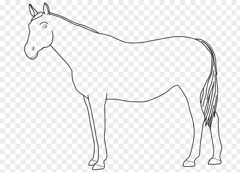 Mustang Mule Bridle Foal Colt Halter PNG