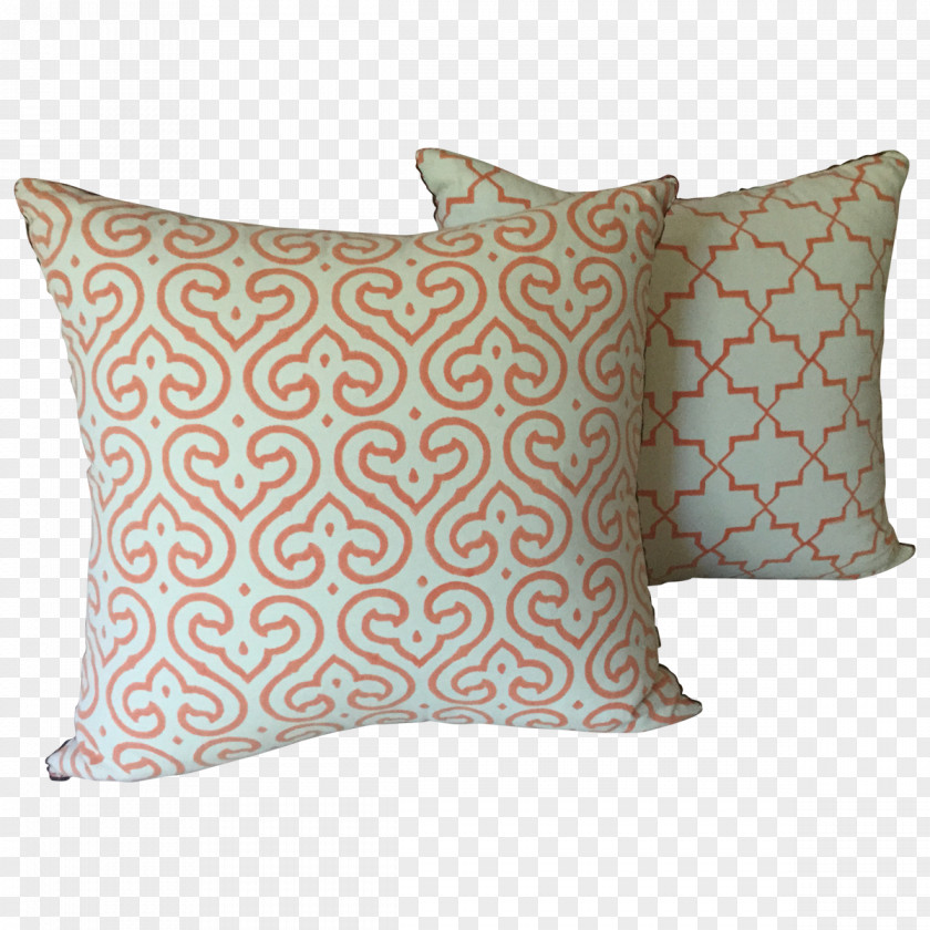 Persimmon Throw Pillows Cushion Turquoise Teal PNG
