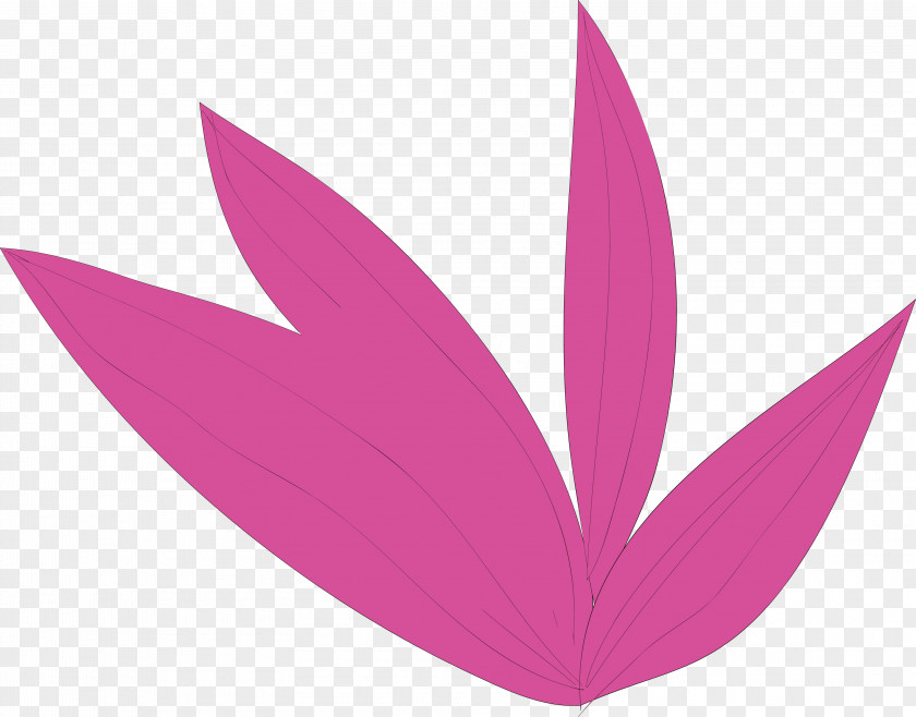 Simple Leaf Drawing Outline PNG