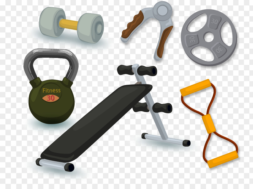 Sports Equipment Vector Material Barbell Bodybuilding Cartoon PNG