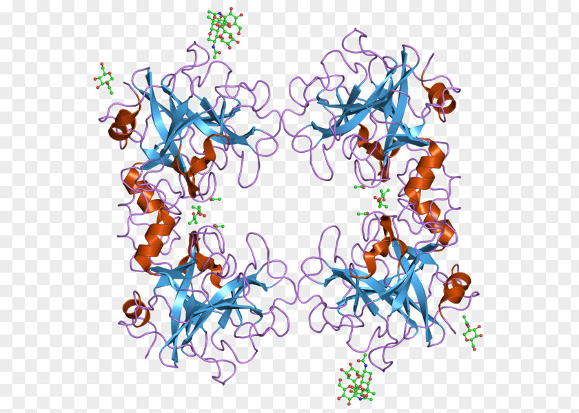 Tryptase TPSAB1 TPSB2 Mast Cell Enzyme PNG