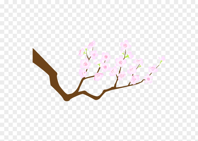 Cherry Blossom Japan Design Vector Graphics Illustration PNG