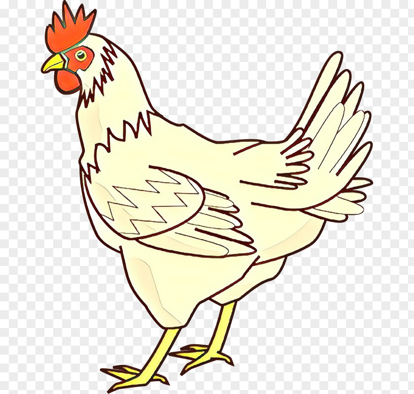 Chicken Drawing Line Art Coloring Book Image PNG